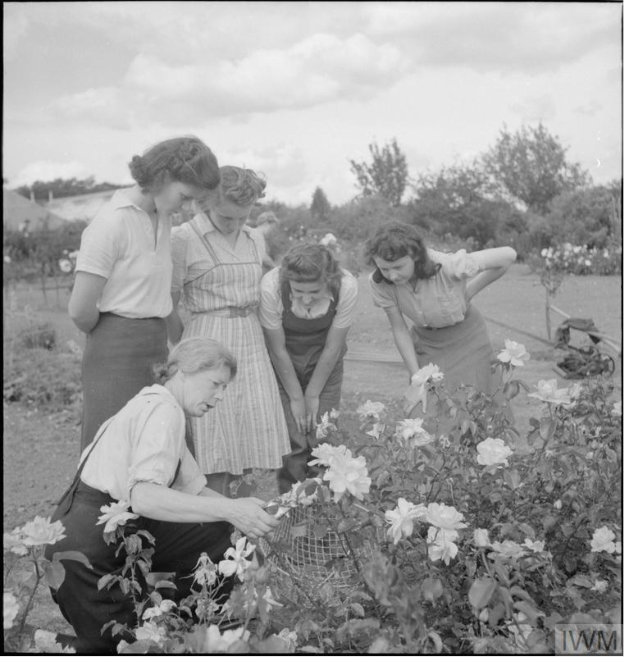 From the Imperial War Museum; “A picture of a southern town: Life in a wartime Reading, Berkshire, England, UK, 1945” – a group of horticulture students with Lecturers Miss Hole